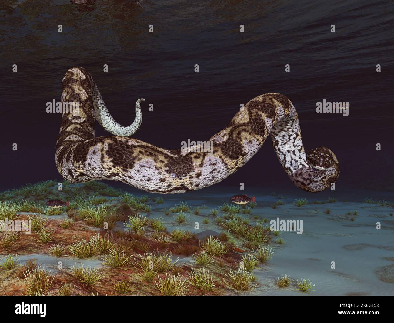 Serpent géant préhistorique Titanoboa sous l'eau Banque D'Images