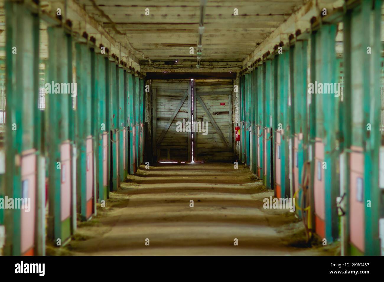 Portes de grange de cheval vert en perspective, Lettonie Banque D'Images