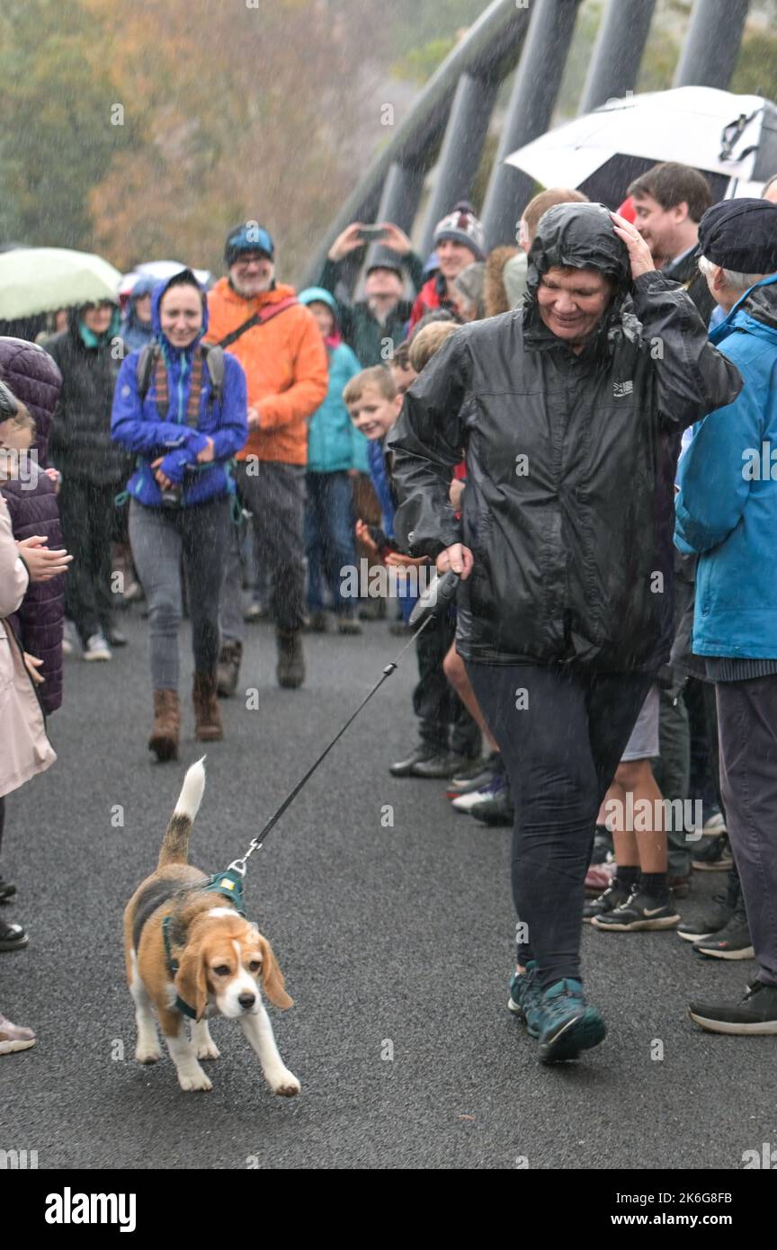 New Road, Kendal - 14 octobre 2022 - Minnie Ker, 61 ans d'Ayrshire, en Écosse, a été la première personne à marcher un chien (appelé Bassett) à travers le pont Gooseholme à Kendal, Minnie a déclaré: "C'était un honneur et un plaisir". Le pont a officiellement ouvert ses portes le vendredi 14 octobre par le président du conseil du comté de Cumbria (CCC), Cllr Andy Connell, avec des enfants de l'école de Stramongate à proximité (tous autorisés pour les photos). Le député Tim Farron a aussi fait une apparition. La passerelle, qui coûte 2 millions de livres, a remplacé un vieux pont plus petit qui a été endommagé à Storm Desmond qui a frappé la ville en 2015, causant des inondations dévastatrices. Le Banque D'Images