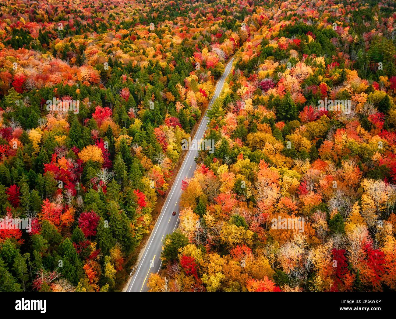 White Mountains NH Fall Foliage Banque D'Images