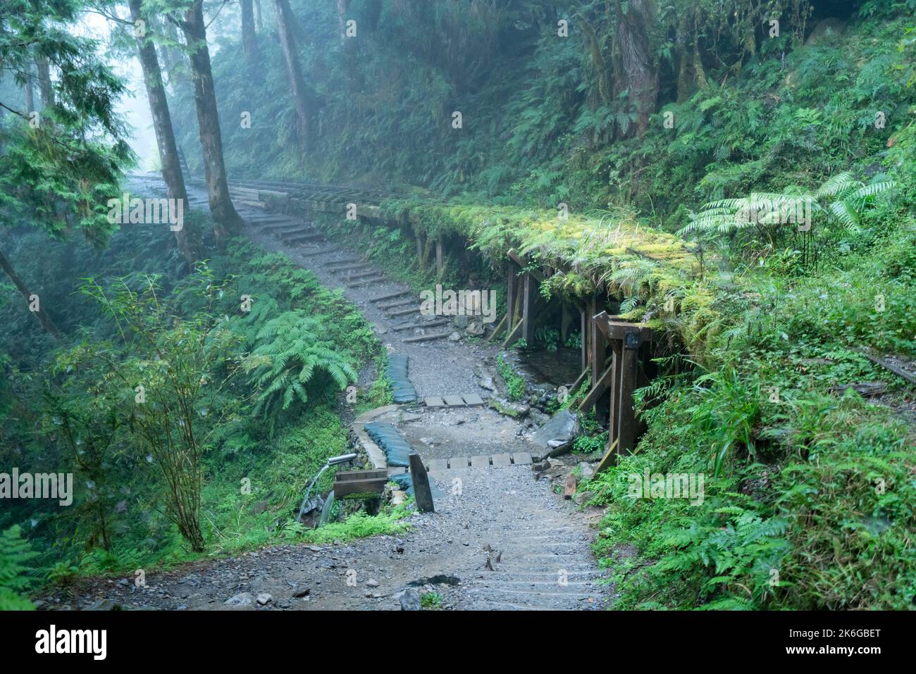 Magnifique sentier historique de Jianqing (Jiancing), chemin de fer forestier de l'aire de loisirs de la forêt nationale de Taipingshan de Taiwan. Banque D'Images