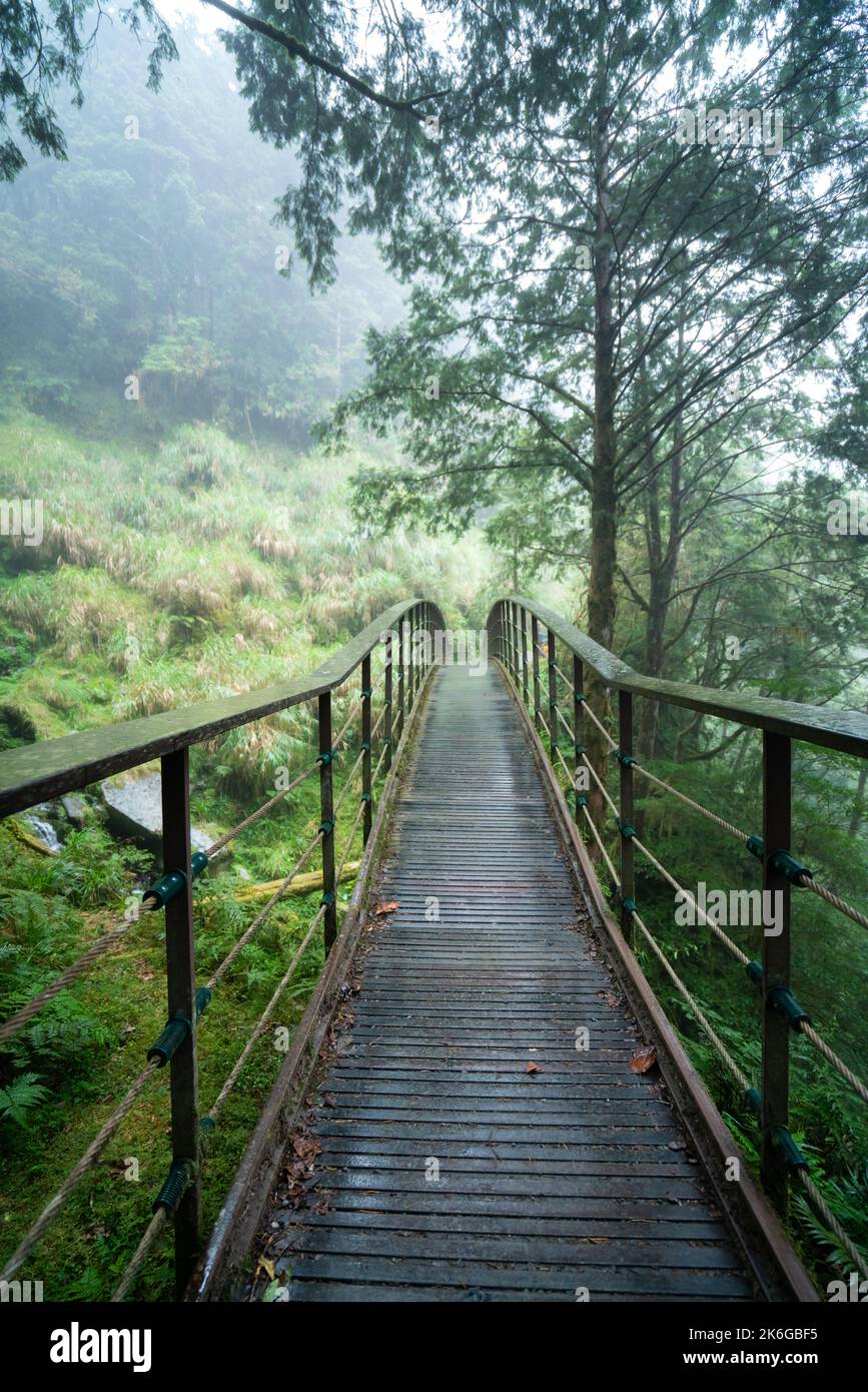 Magnifique sentier historique de Jianqing (Jiancing), chemin de fer forestier de l'aire de loisirs de la forêt nationale de Taipingshan de Taiwan. Banque D'Images