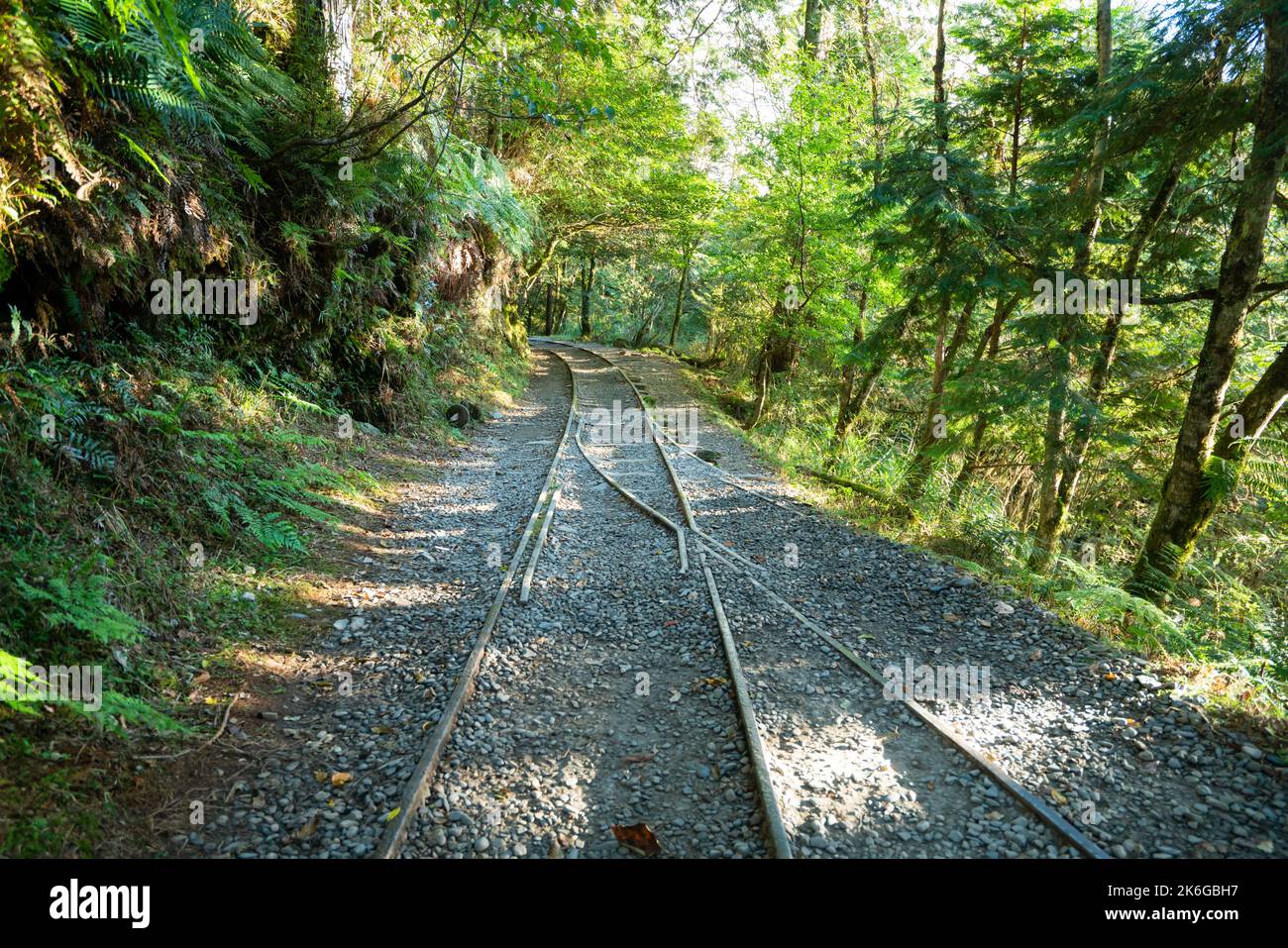 Magnifique sentier historique de Jianqing (Jiancing), chemin de fer forestier de l'aire de loisirs de la forêt nationale de Taipingshan de Taiwan. Banque D'Images