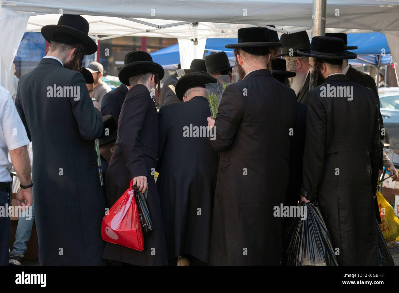 Se préparant aux vacances de Sukkos, des hommes juifs orthodoxes anonymes examinent Hadasim - branches de myrte - à utiliser dans les services de Sukkot. À Brooklyn, New York Banque D'Images