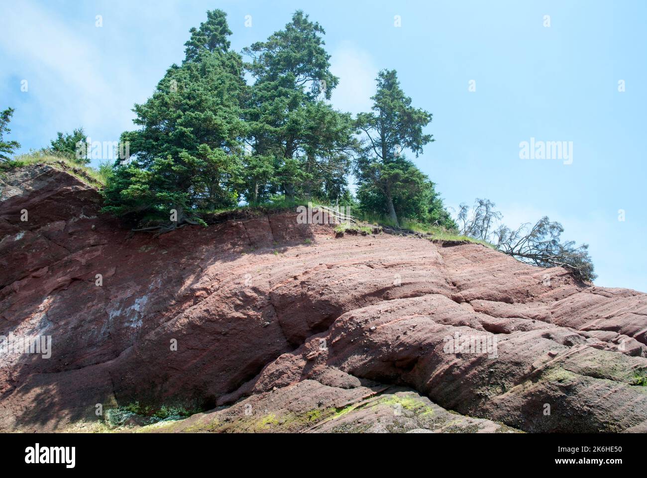 La vue panoramique du sentier de Saint-Martins-Fundy érode la côte célèbre pour ses marées très hautes (Nouveau-Brunswick, Canada). Banque D'Images