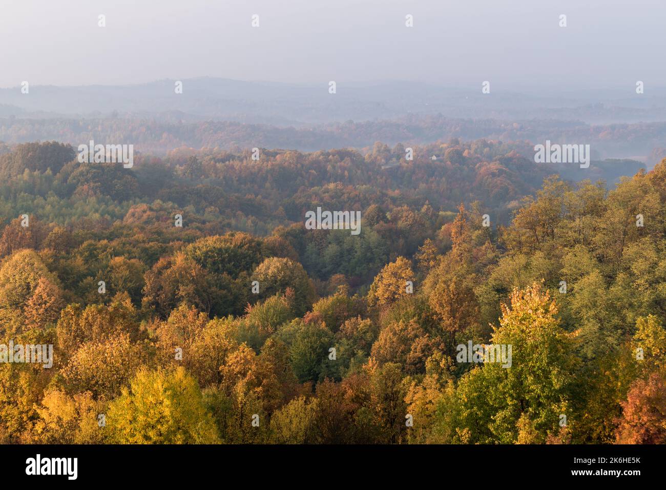 Paysage de village vallonné avec forêt colorée en automne, couleurs d'automne en brume matinale Banque D'Images Paysage de village vallonné avec forêt colorée en automne, couleurs d'automne en brume matinale Banque D'Images