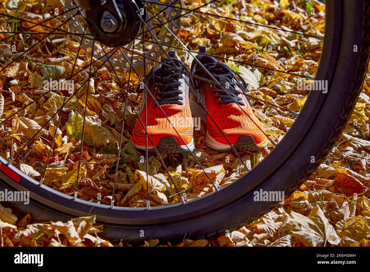 Des baskets orange et une roue de vélo en plein soleil sur fond de feuilles d'automne tombées Banque D'Images