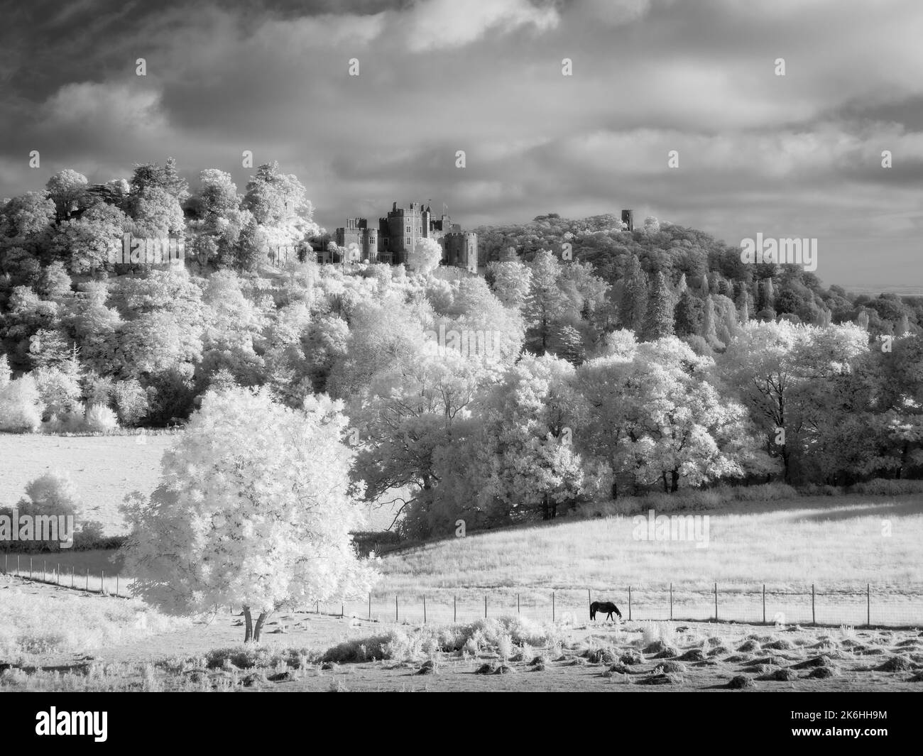 Image infrarouge noir et blanc du château de Dunster et de la tour Conygar en bordure du parc national Exmoor, Somerset, Angleterre. Banque D'Images