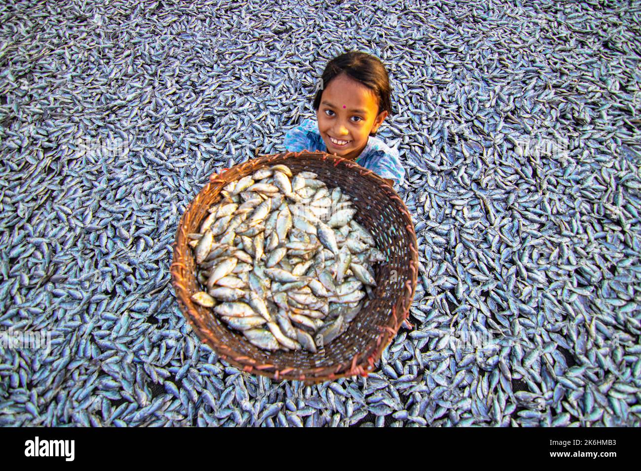 Les femmes traitent les petits poissons pour les affaires de poissons secs. Les travailleurs coupent et nettoient les poissons, ajoutent du sel, puis séchez-les sur une plate-forme en bambou. Banque D'Images