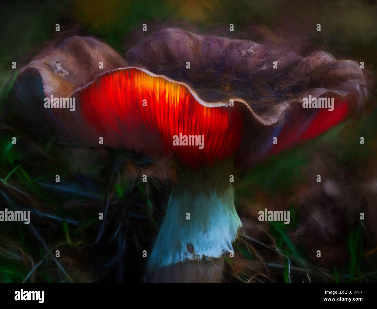 Peinture numérique abstraite à l'huile d'un champignon fantastique brillant dans une forêt enchantée sombre et magique. Banque D'Images