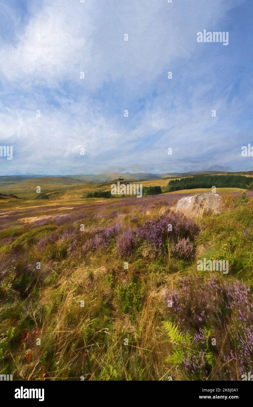 Peinture numérique abstraite à l'huile de bruyère pourpre en fleur pendant l'été à Gib Torr, les cafards dans le parc national de Peak District. Banque D'Images