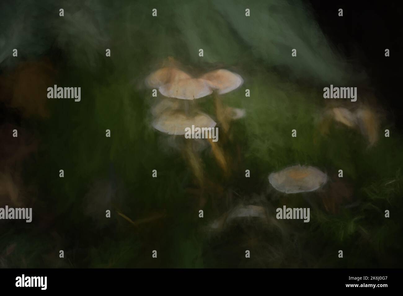 Peinture numérique abstraite à l'huile de champignons fantaisie dans un bois sombre et magique enchanté. Banque D'Images
