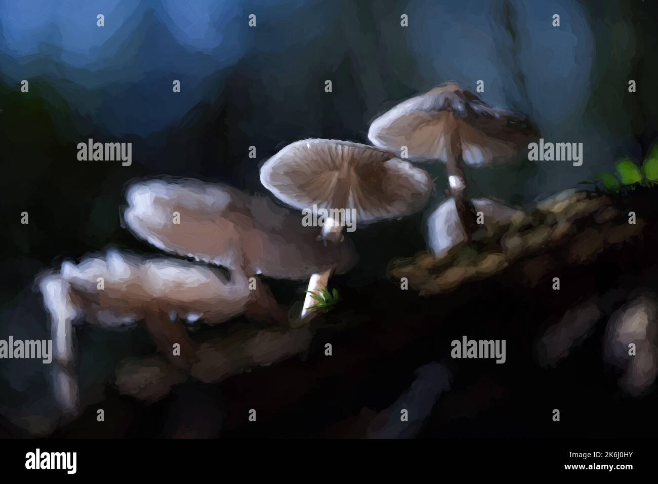 Peinture numérique abstraite à l'huile de champignons fantaisie dans un bois sombre et magique enchanté. Banque D'Images