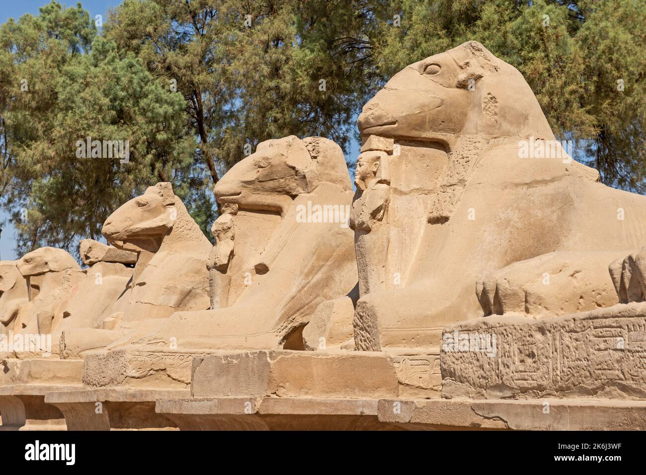 Grandes statues de sphinx à tête de bélier dans l'ancien temple égyptien Karnak en bas de l'avenue Banque D'Images