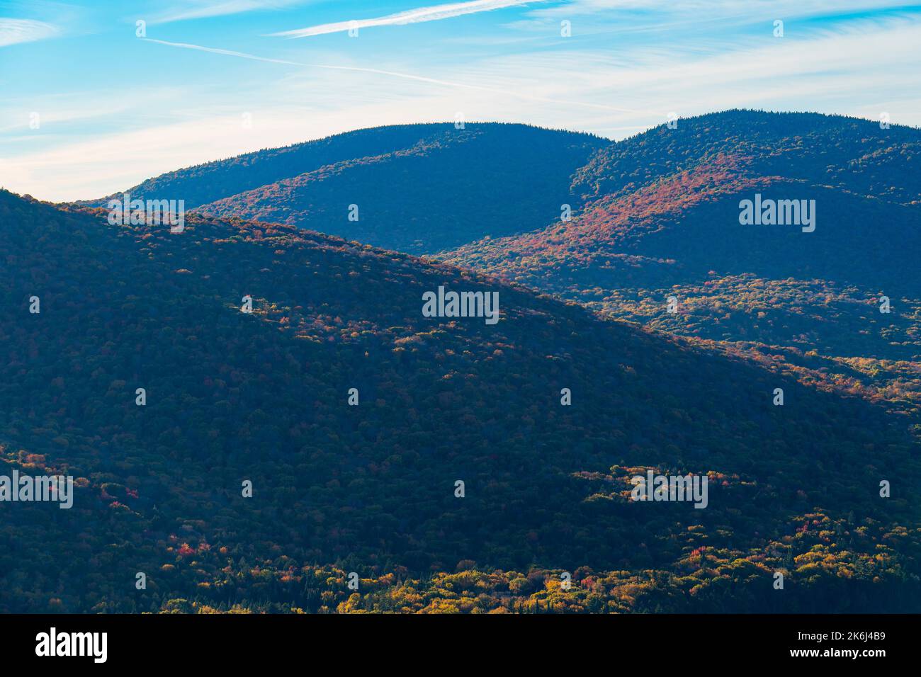 Très belle forêt avec motif de feuilles d'automne dans le parc national Banque D'Images