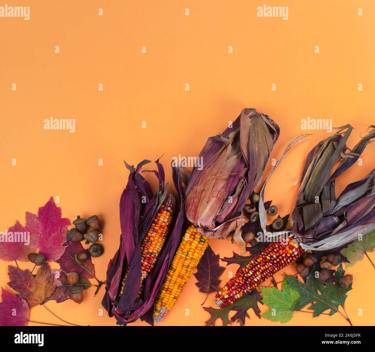 Concept de fond de vacances d'automne avec cornes, acorns et feuilles sur fond orange solide parfait pour Halloween ou la saison de Thanksgiving Banque D'Images