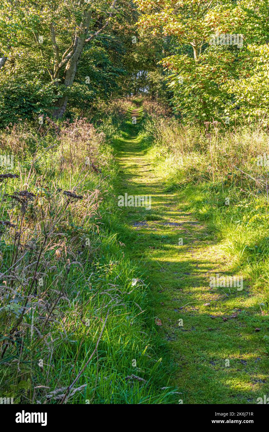Sentier herbeux menant à l'église médiévale isolée de Kirkmadrine, près de Sandhead, Dumfries & Galloway, Écosse, Royaume-Uni Banque D'Images