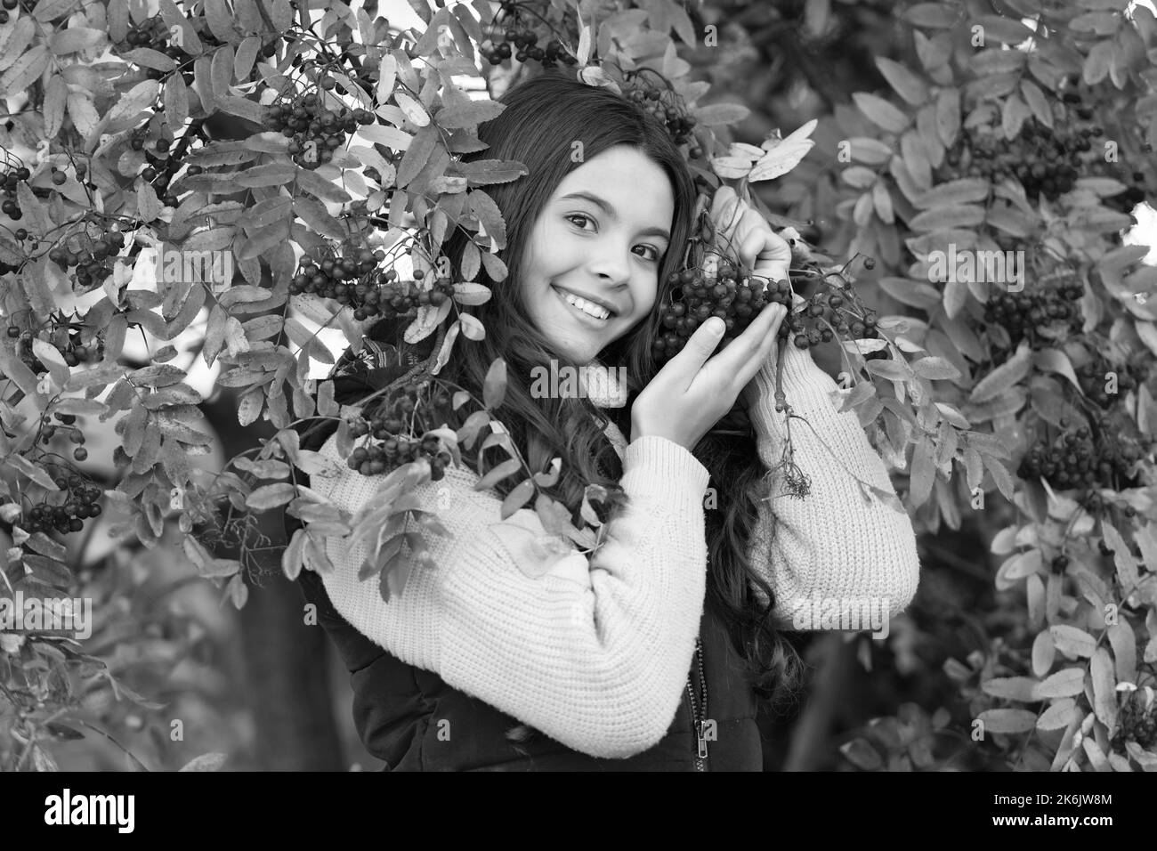 jeune fille avec l'automne feuilles de rowan tiennent la baie. enfant heureux à la branche rouge de l'arbre de la roganberry. Banque D'Images
