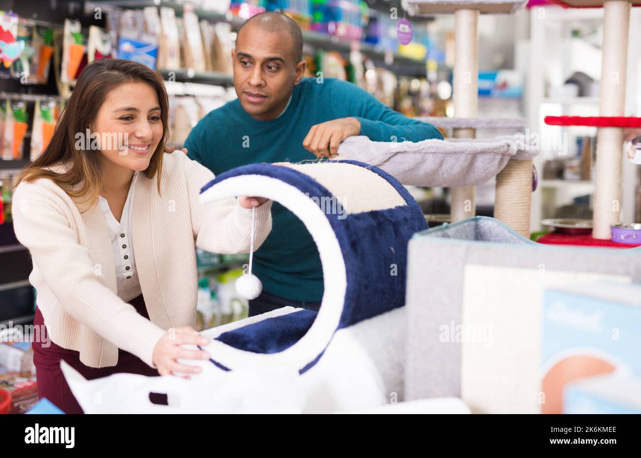 Couple choisissant des fournitures de meubles de chat en magasin Banque D'Images