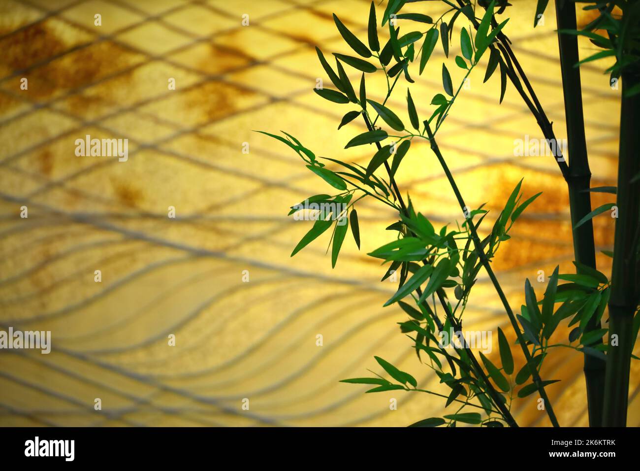 Décoration intérieure japonaise moderne, bambou et papier japonais Banque D'Images