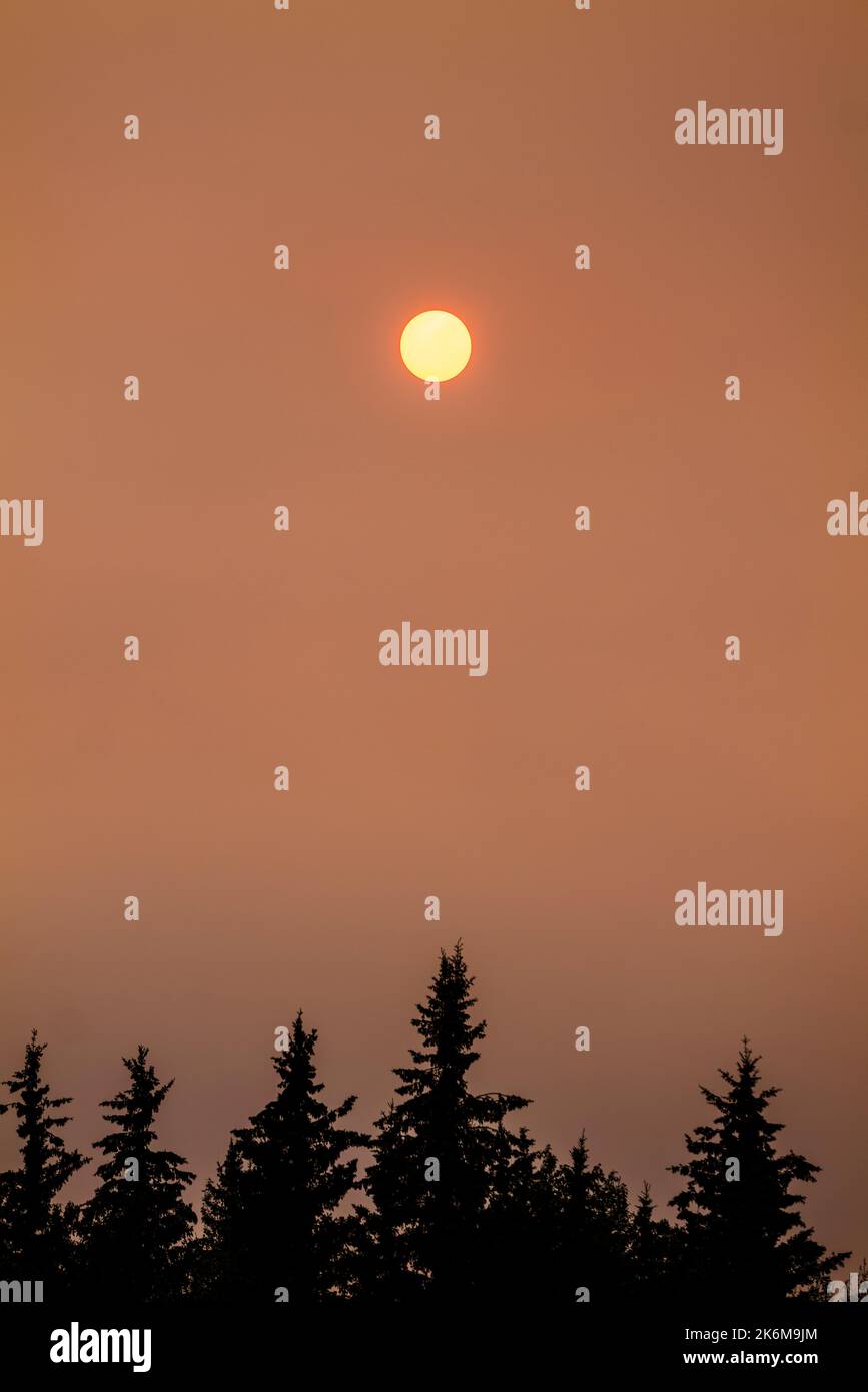 La fumée des feux de forêt à proximité colore le ciel orange de jour; Fairbanks; Alaska; États-Unis Banque D'Images