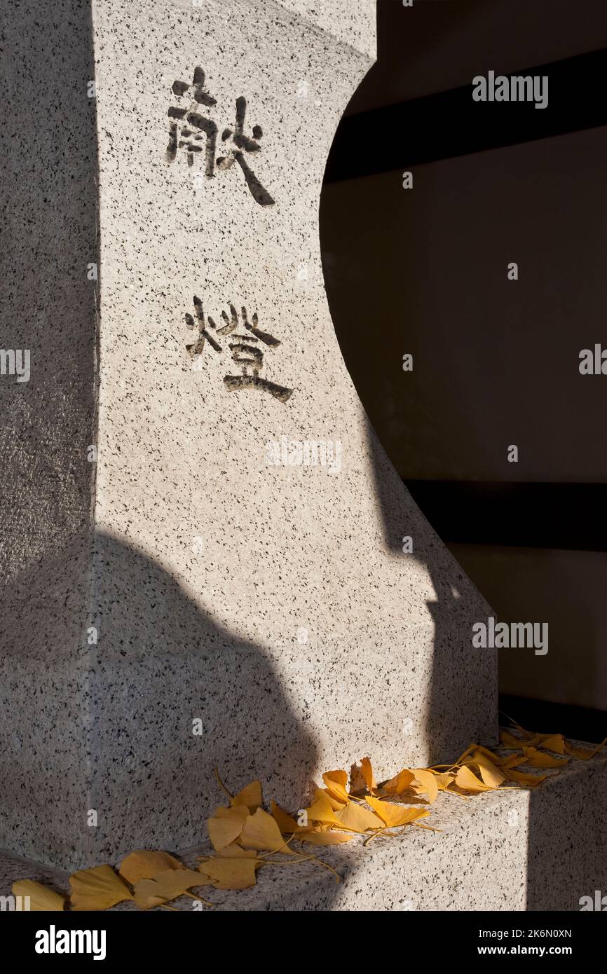 Lanterne en pierre ginko Leaves Autumn HIE Jinja Shrine Tokyo Japon Banque D'Images