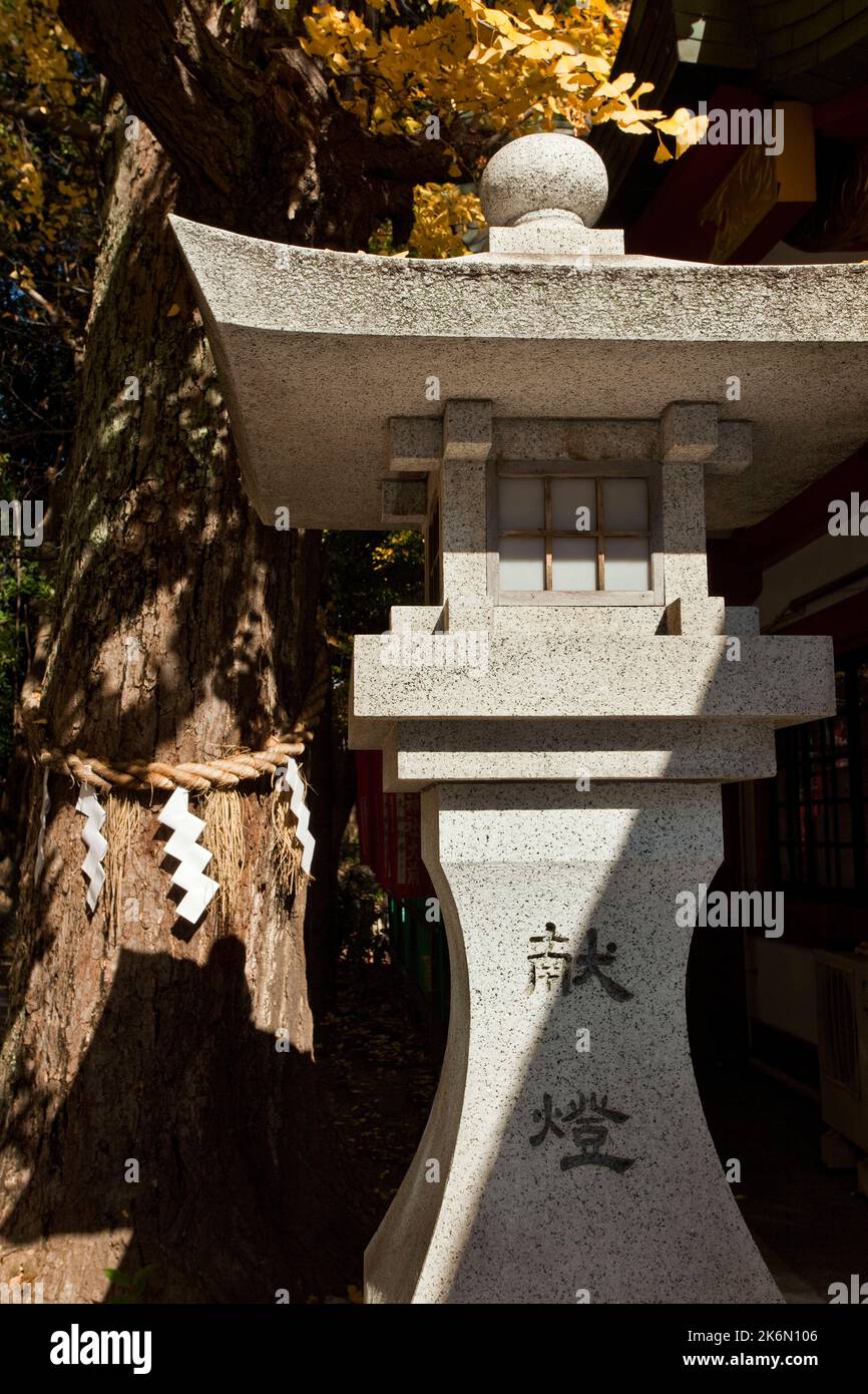 Lanterne en pierre arbre ginko W Shinto icons automne HIE Jinja Shrine Tokyo Japon Banque D'Images