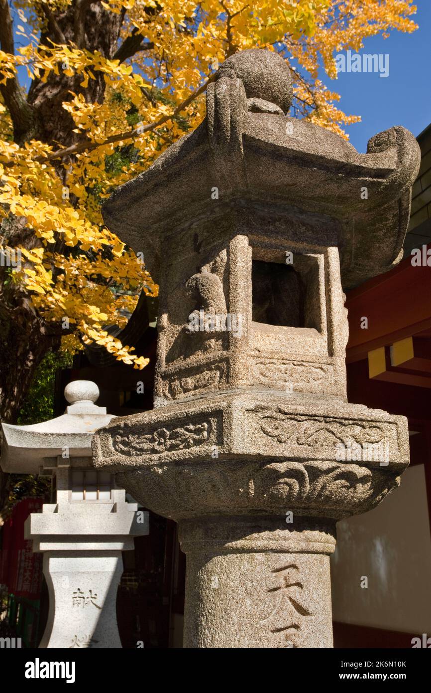 Lanternes en pierre ginko Tree Autumn HIE Jinja Shrine Tokyo Japon Banque D'Images