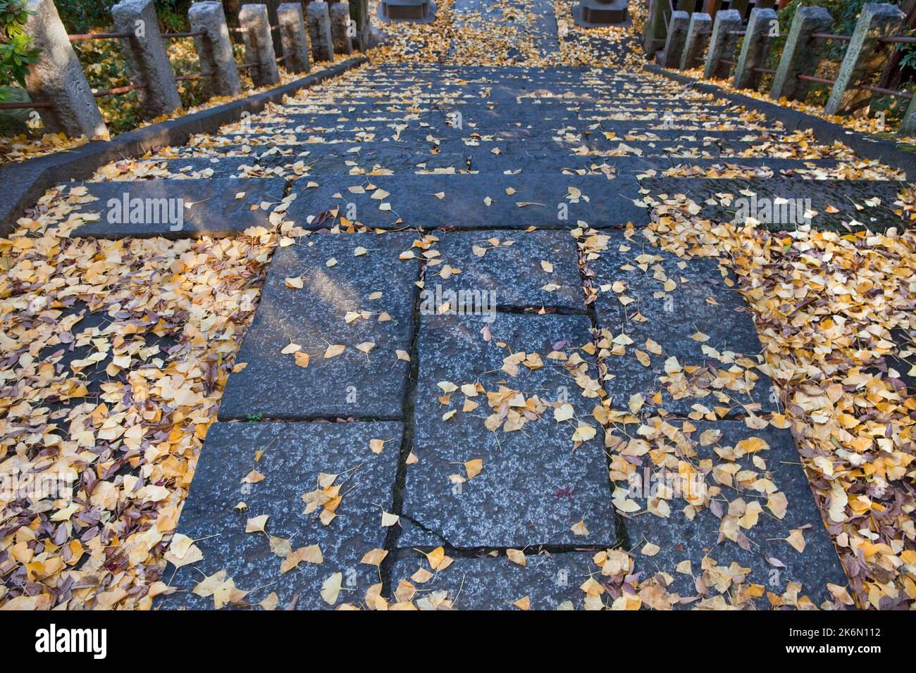 Escalier en pierre automne feuilles de ginko Sanctuaire de Nezu Tokyo Japon Banque D'Images