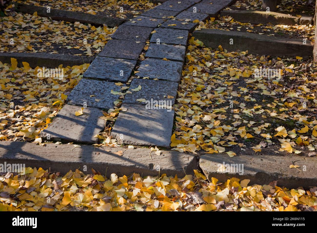 Passerelle en pierre automne feuilles de ginko Sanctuaire de Nezu Tokyo Japon Banque D'Images