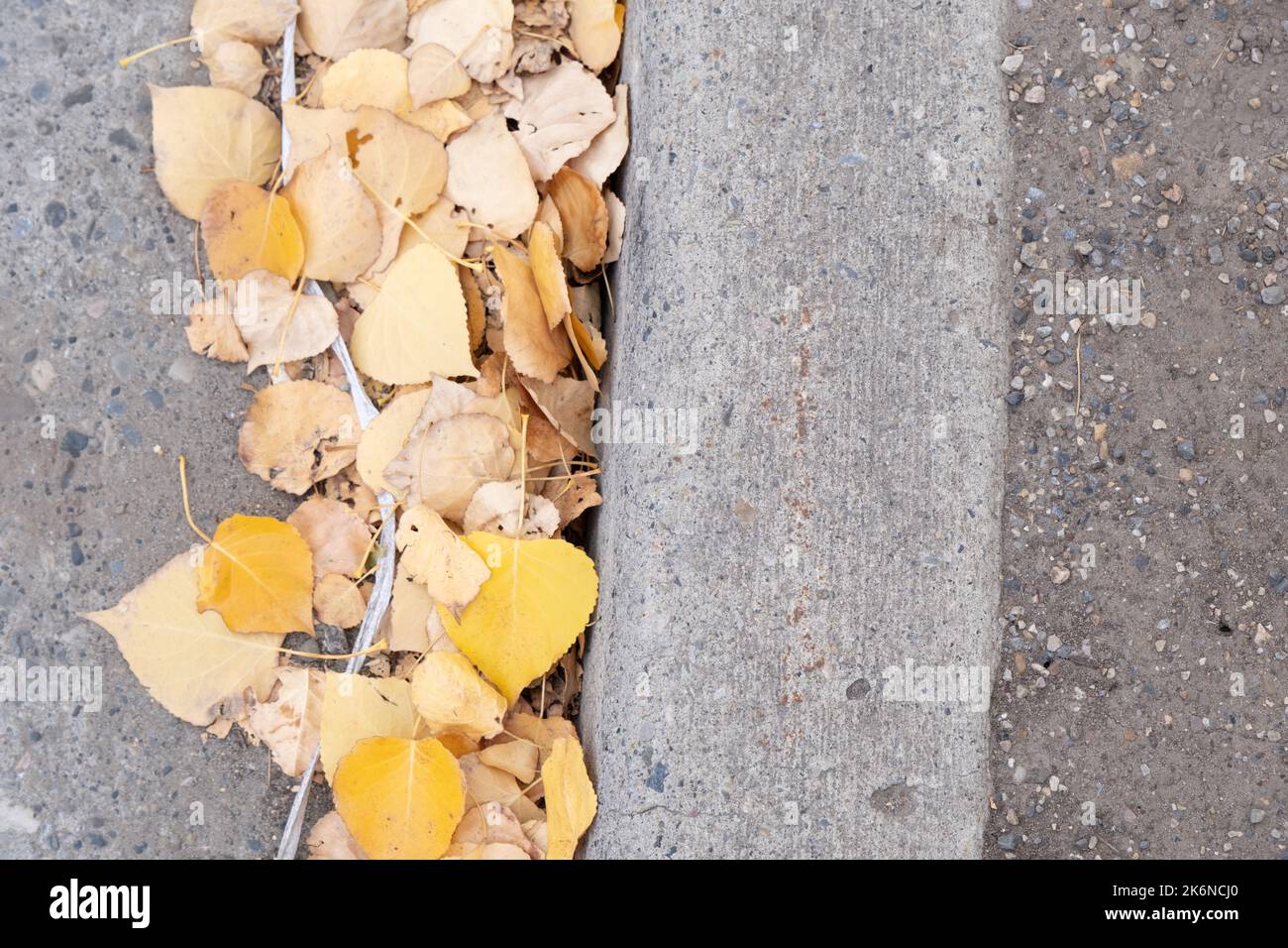 Feuilles d'automne brunes sur une route de ville Banque D'Images