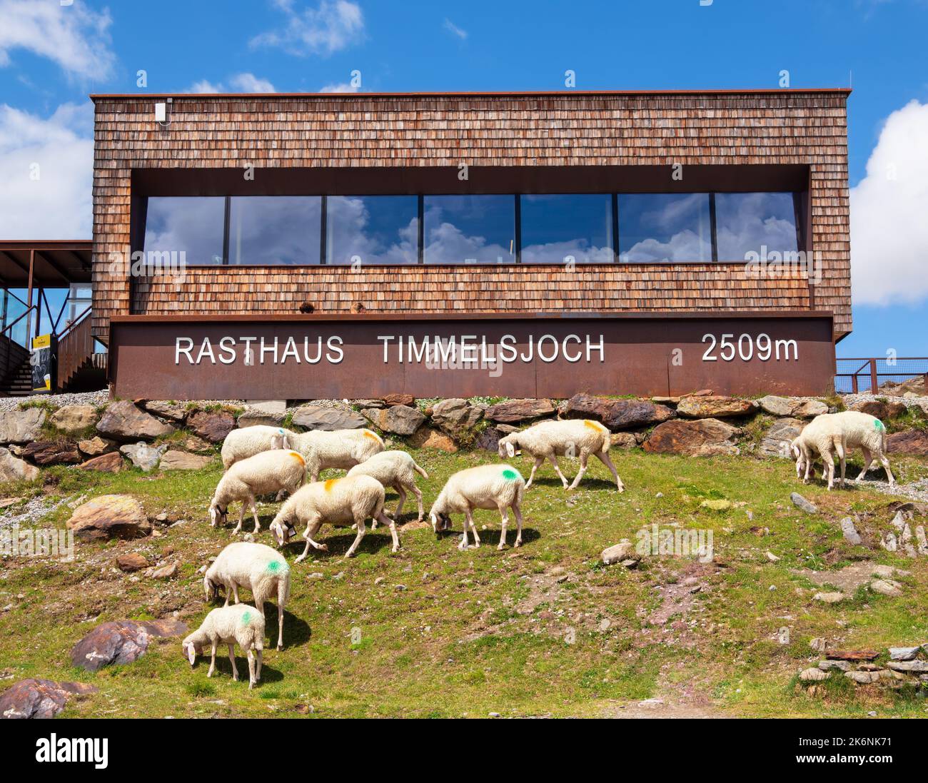 Timmelsjoch, Autriche - 26 juillet 2022 : des moutons se bousculent sous le restaurant au sommet du col de la montagne Timmelsjoch - Passo del Rombo - qui se connecte Banque D'Images