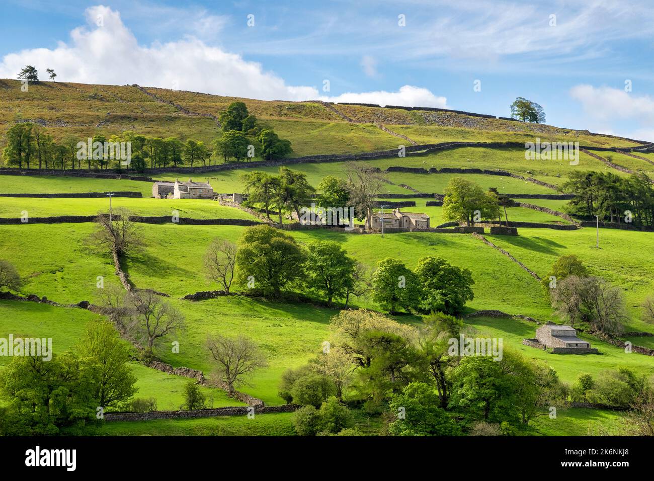 Des murs en pierre sèche et des cottages en pierre lors d'une journée de printemps lumineuse avec de magnifiques greens, Swaledale, North Yorkshire, Royaume-Uni Banque D'Images