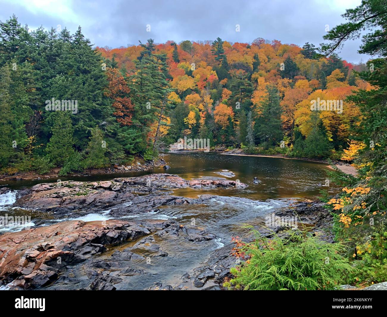 Couleurs fascinantes des couleurs d'automne/d'automne/feuillage à la baie Batchawana/chutes Chippewa/rivière-Ontario/Canada Banque D'Images