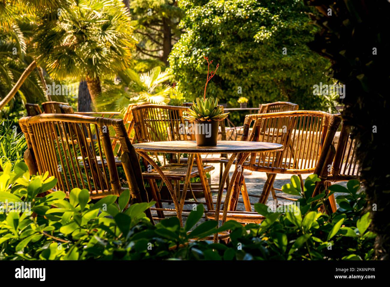 Vue dans un salon vide avec meubles en bambou dans un jardin idyllique sous des palmiers avec des chaises en bambou de style tropical et une table avec succulent. Banque D'Images