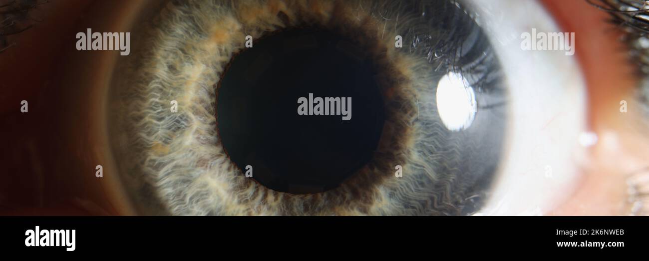 Macro oeil humain, pupille dilatée de couleur grise, rétine en gros plan Banque D'Images