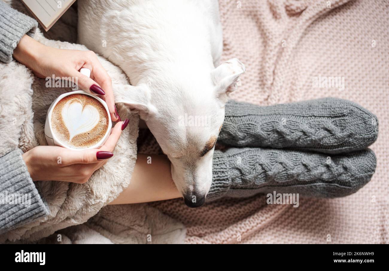 Maison confortable, femme couverte d'une couverture chaude, boissons café, chien endormi à côté de la femme. Détente, insouciance, style de vie confortable. Banque D'Images