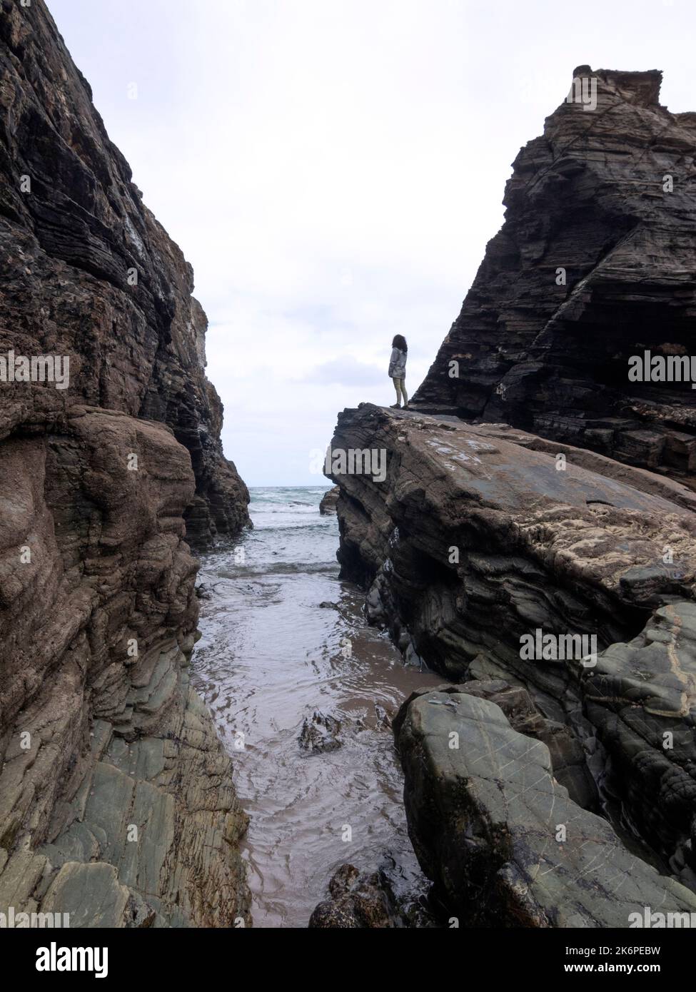 Femelle se tenant seule dans un paysage de falaises et de rochers à marée basse avec la mer en arrière-plan. Banque D'Images