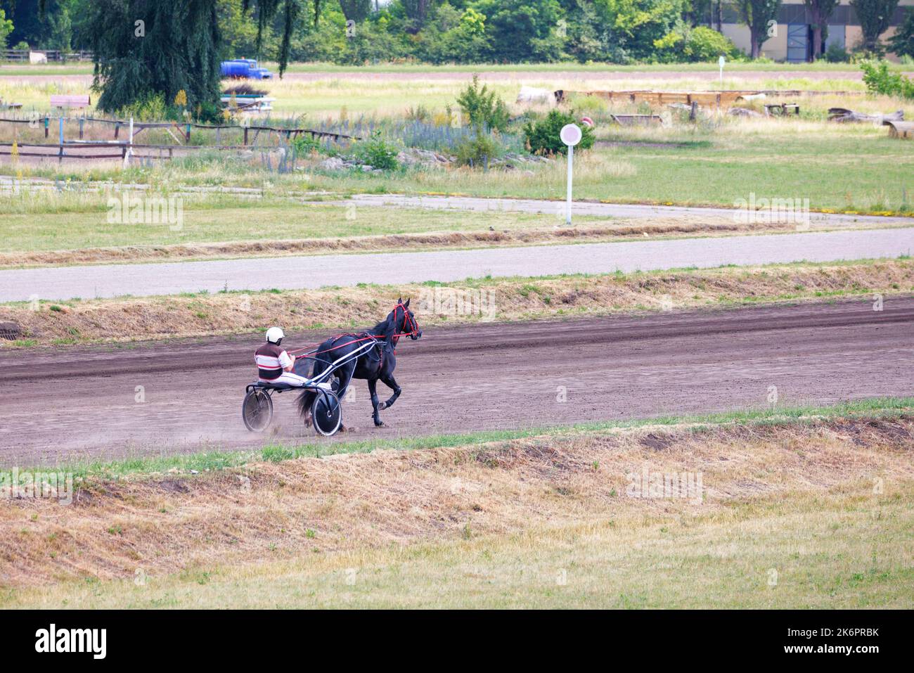 Un char jockey sur un tapis roulant réchauffe son cheval en courant un jour d'été, en lançant un nuage de poussière derrière. Copier l'espace. Banque D'Images