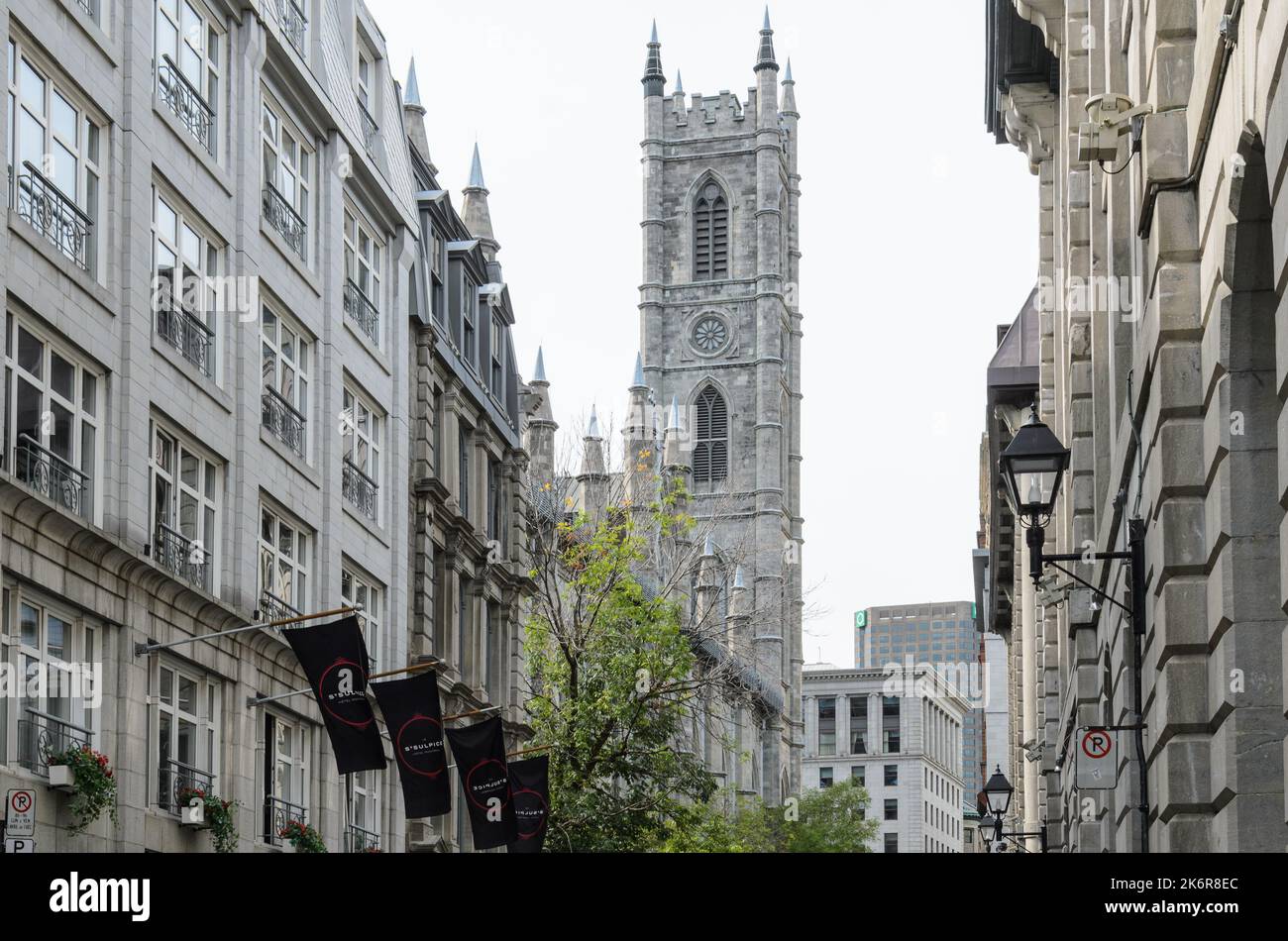 La tour de la basilique notre-Dame de Montréal, vue de la rue Saint-Sulpice, Montréal, Québec, Canada Banque D'Images