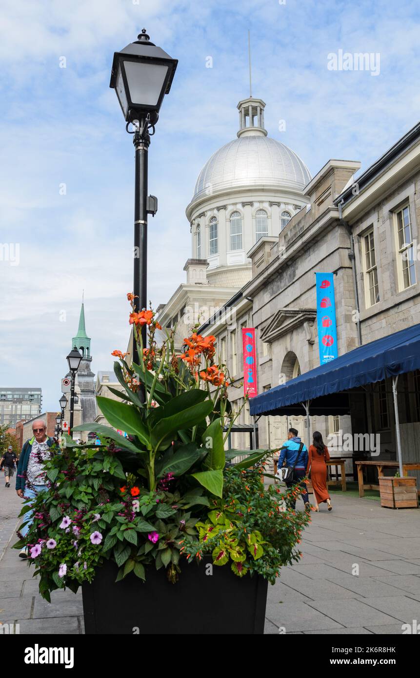 Le dôme de l'édifice Marche Bonsecours à Montréal, Québec, Canada Banque D'Images