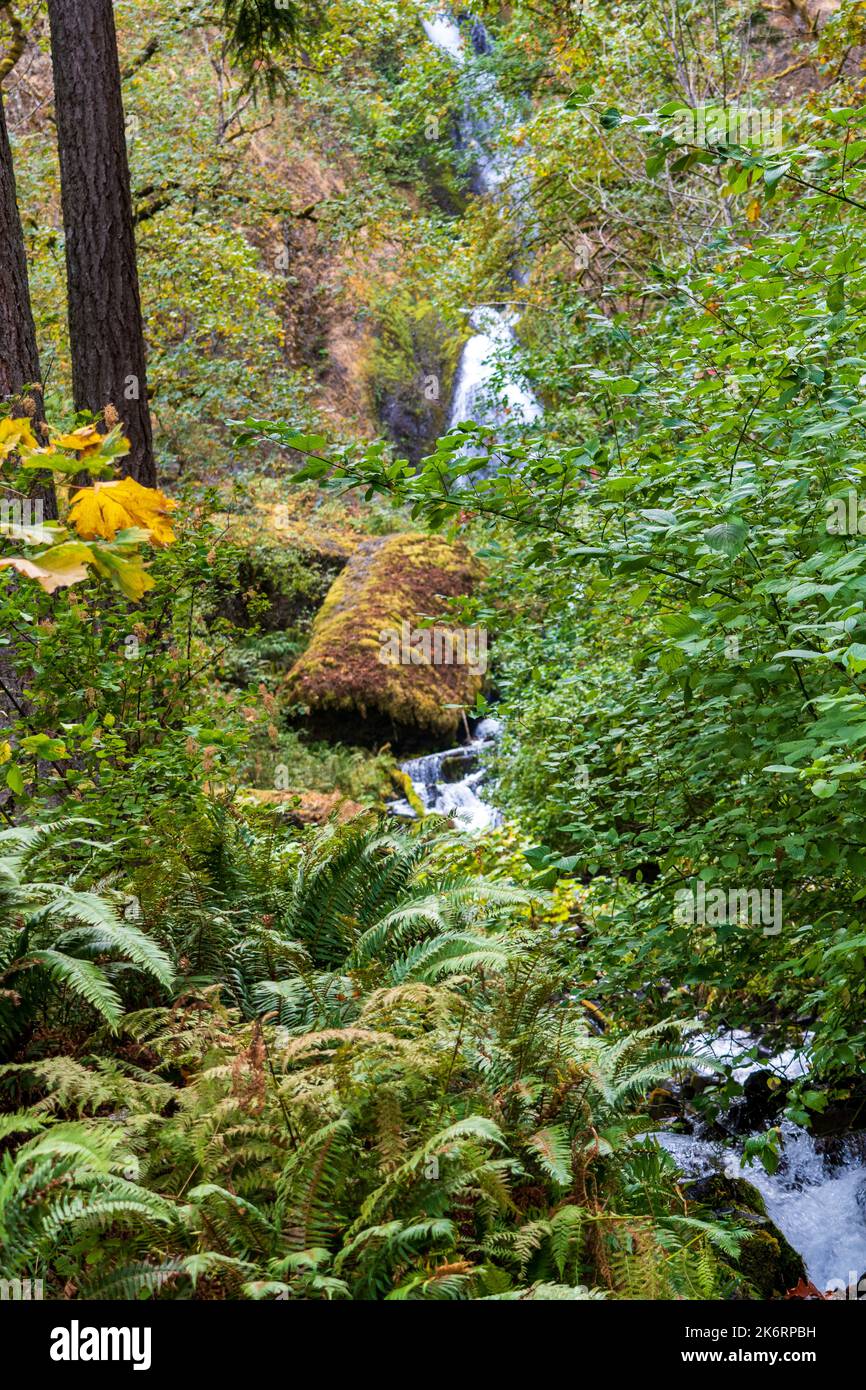La gorge du fleuve Columbia en Oregon est célèbre pour ses nombreuses chutes d'eau Banque D'Images