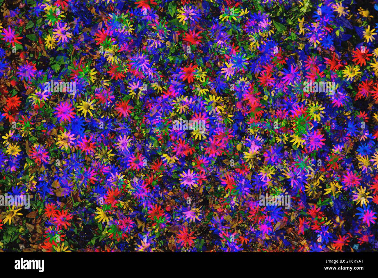 CONCEPT DE CARTE DE VŒUX : motif floral Banque D'Images