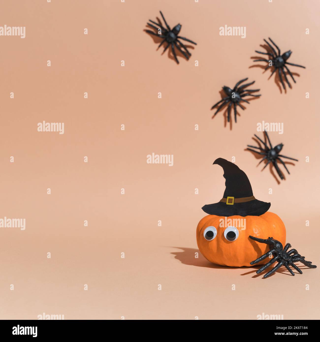 Pas de décoration effrayante pour Halloween partie - tête de citrouille mignonne avec les yeux et le bon visage. Sorcière à citrouille en chapeau et araignées à chenilles. Espace de copie, combinaisons pour Banque D'Images