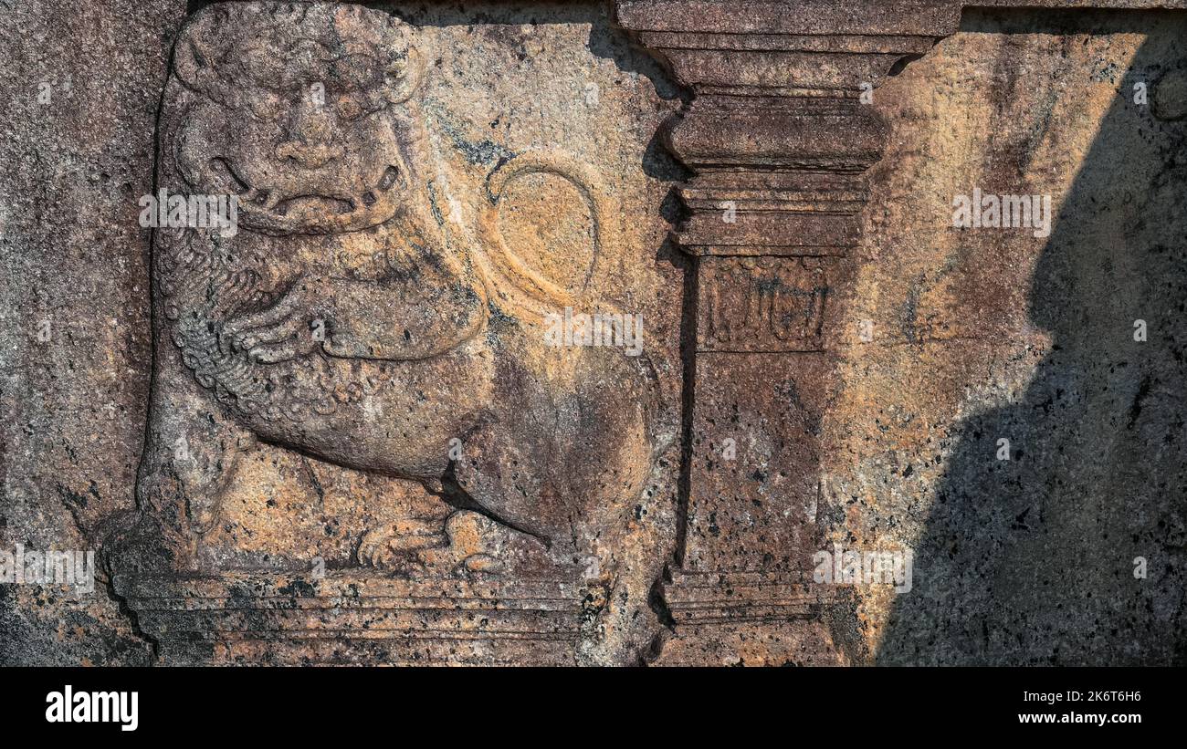 Gros plan de la levée de lion de pierre de Polonnaruwa au Sri Lanka Banque D'Images