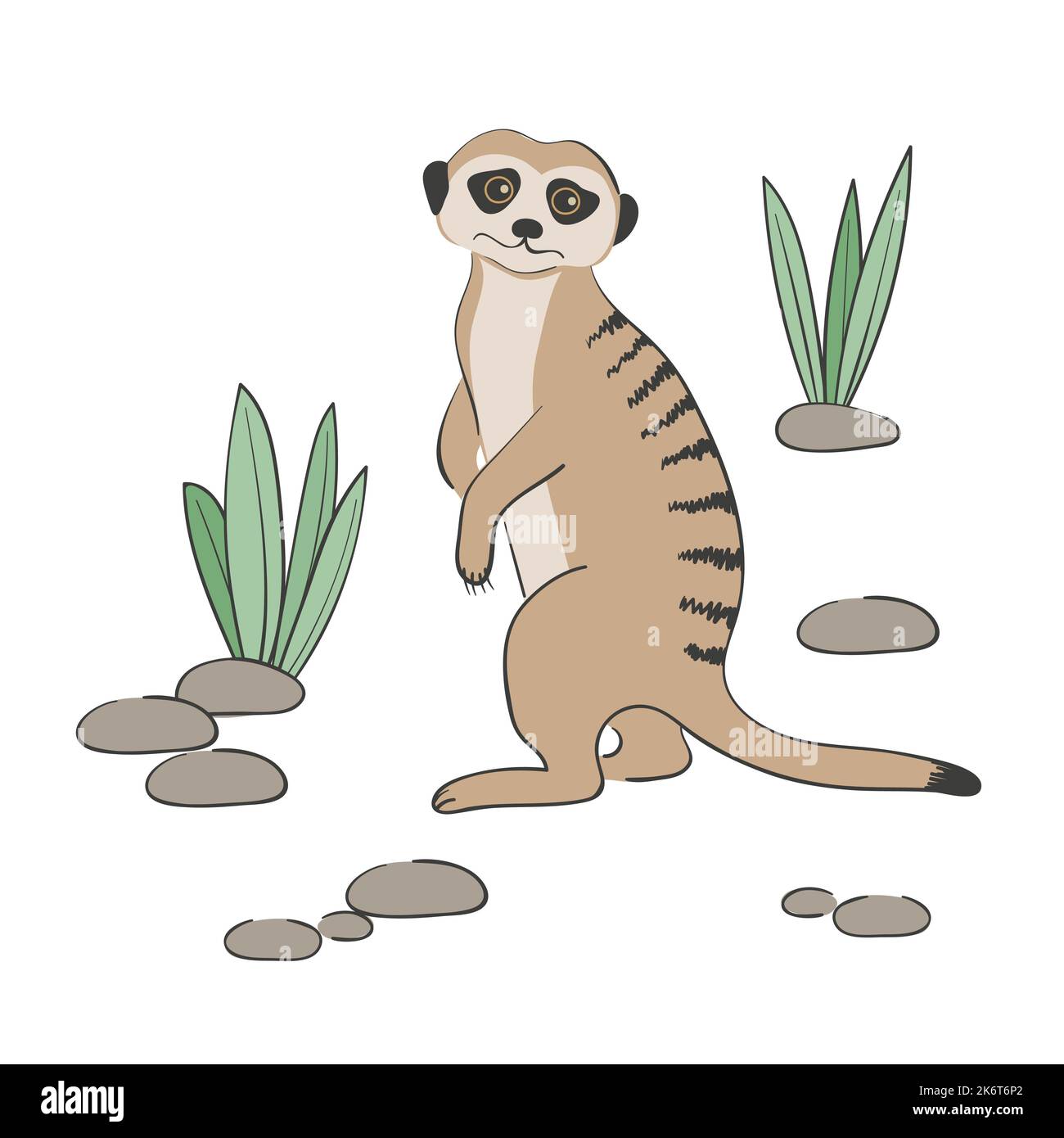 Mignon Meerkat isolé sur fond blanc. Illustration vectorielle. Illustration de Vecteur