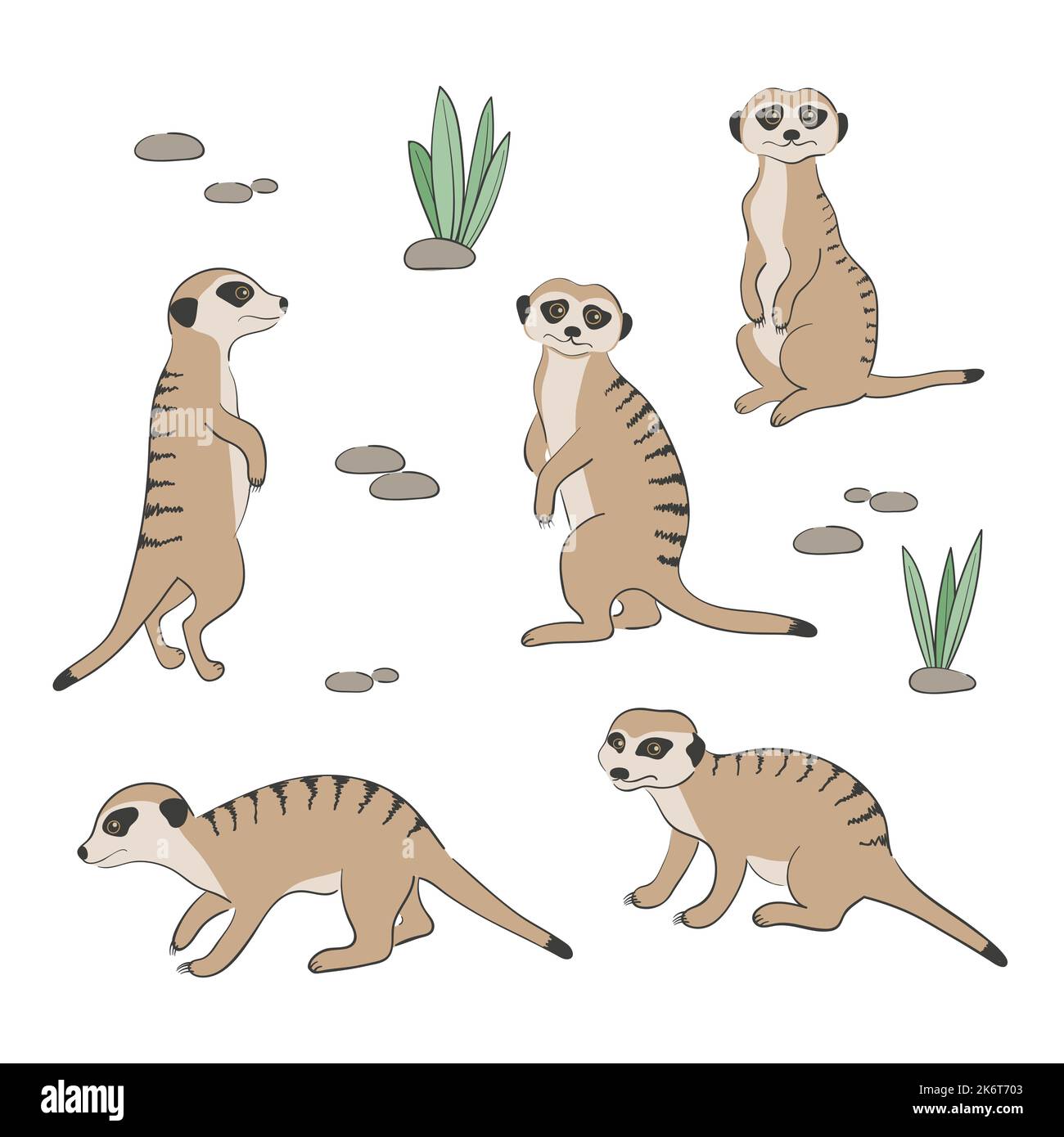 Ensemble de mignons Meerkats isolés sur fond blanc. Illustration vectorielle. Illustration de Vecteur