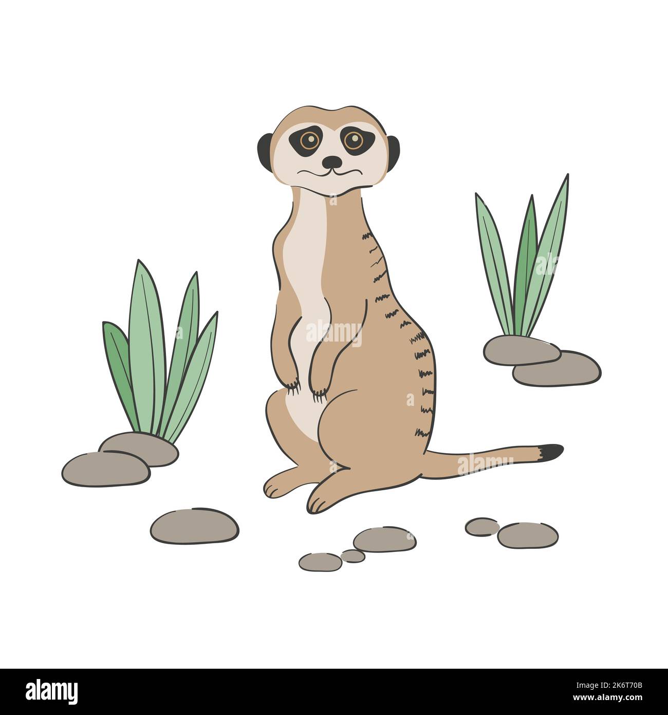 Mignon dessin animé Meerkat isolé sur fond blanc. Illustration vectorielle. Illustration de Vecteur