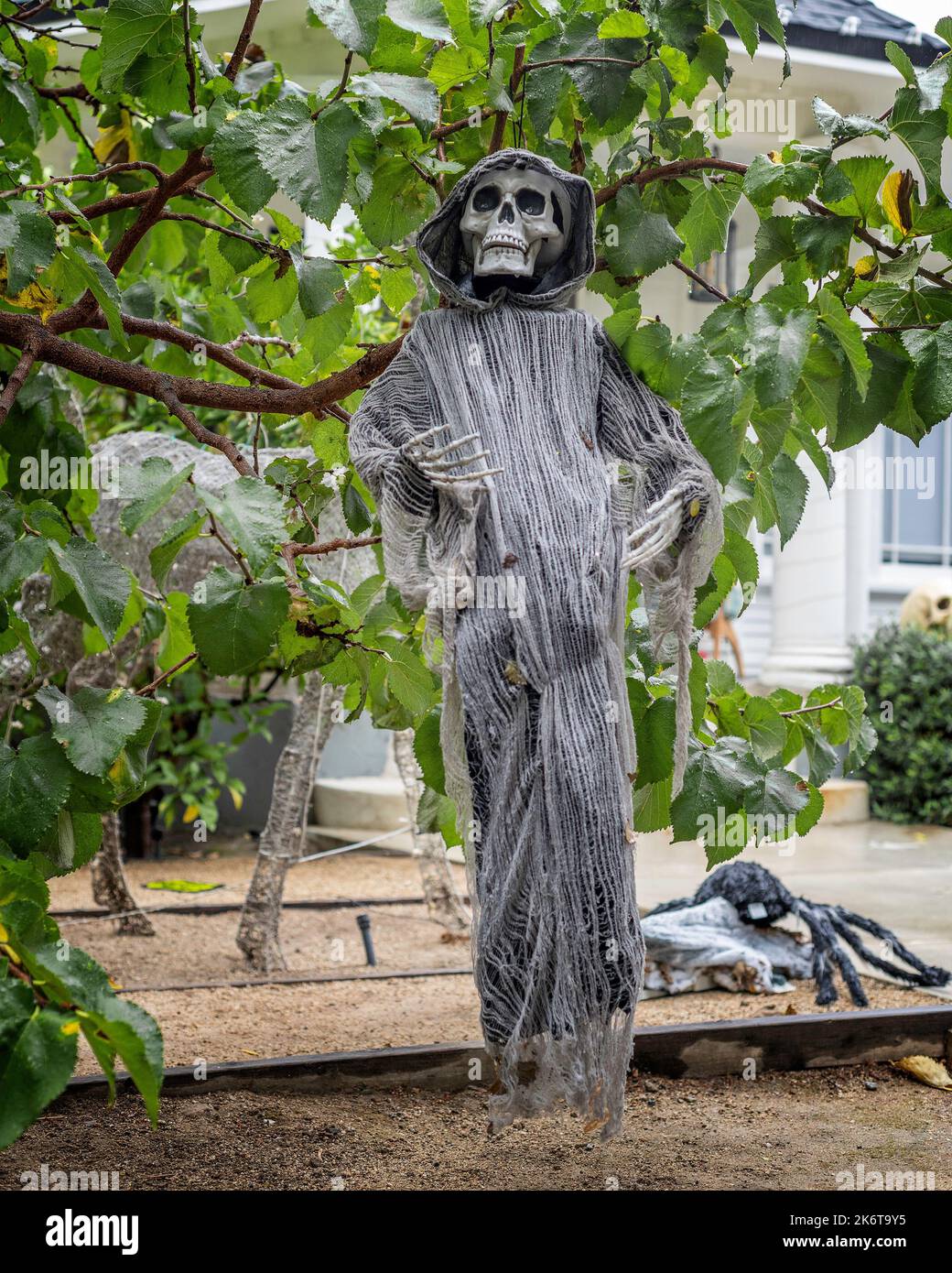 La mort dans un manteau noir pend d'un arbre. Banque D'Images