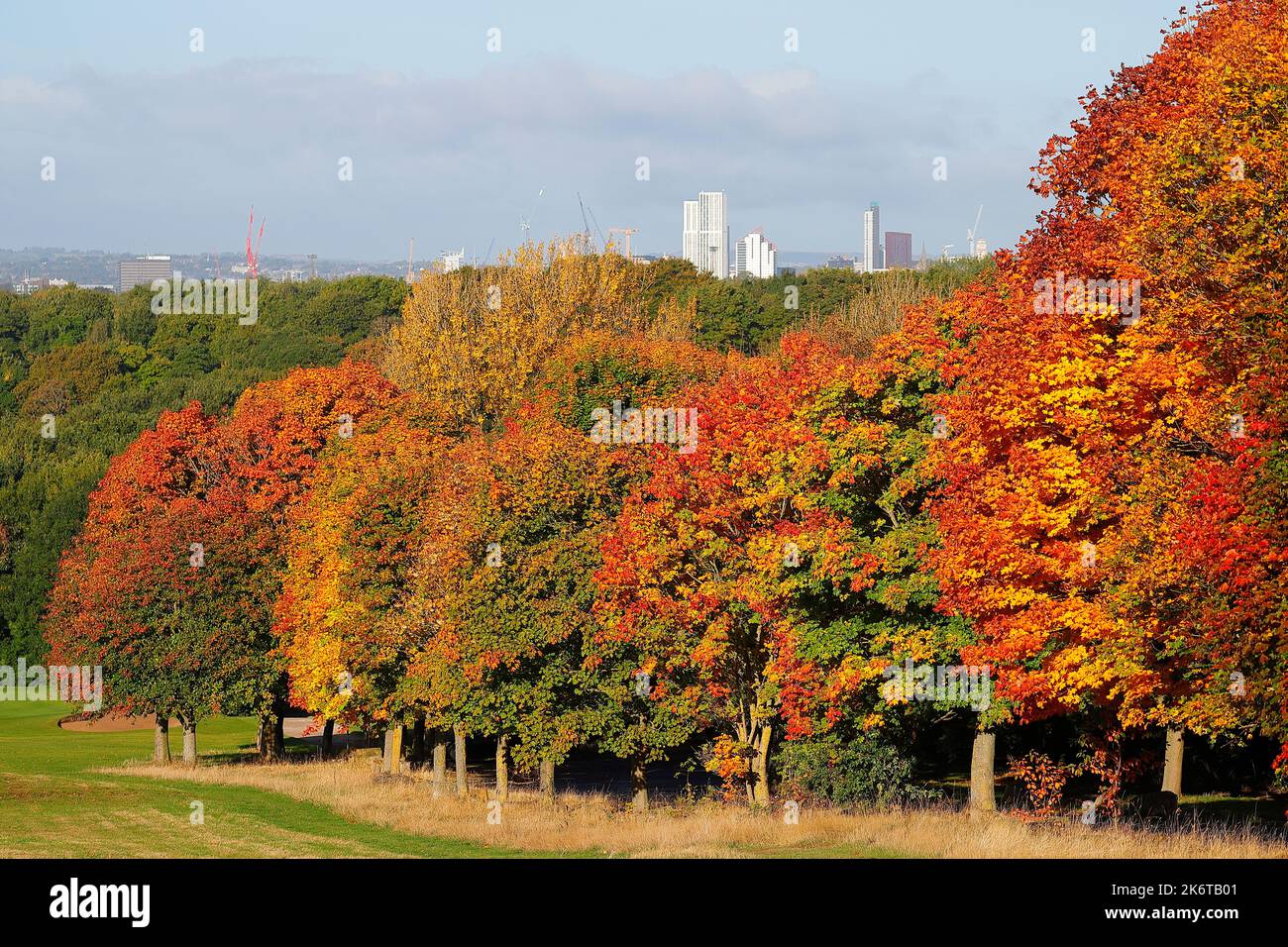 Vue sur les gratte-ciel de Leeds depuis Temple Newsam en automne Banque D'Images